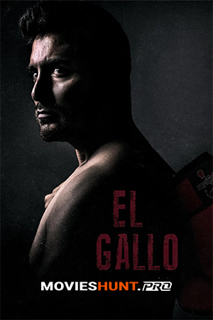 El Gallo
