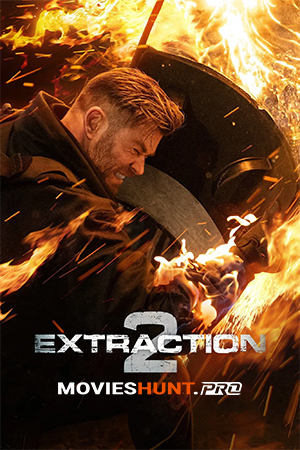 Extraction 2