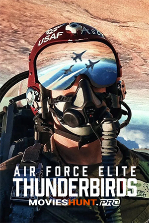Air Force Elite: Thunderbirds