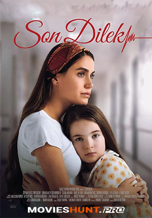 Son Dilek